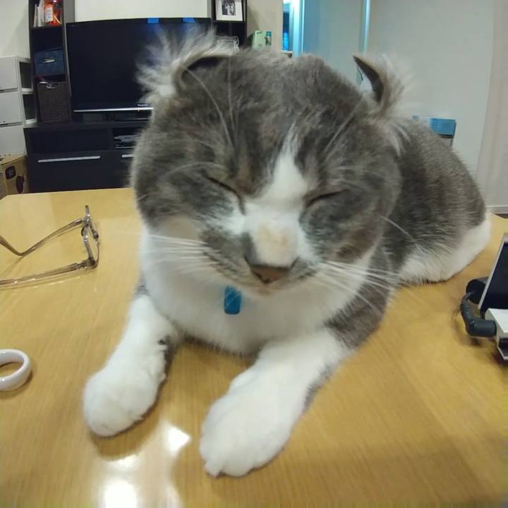 7a350478 0f92 4346 9468 155996d8b7e5 1607162817297