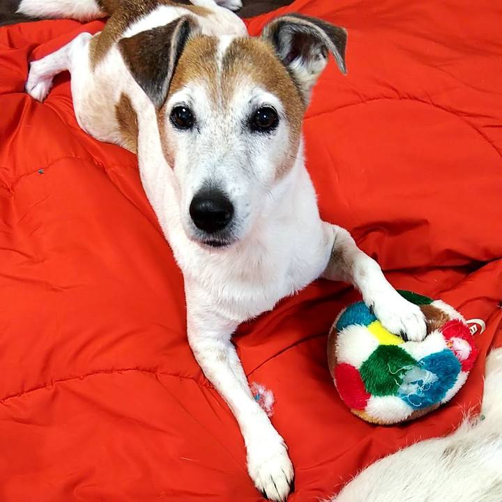 7a35233a a2d0 4ebb 8936 31a2b22f6d1d 1549417635883