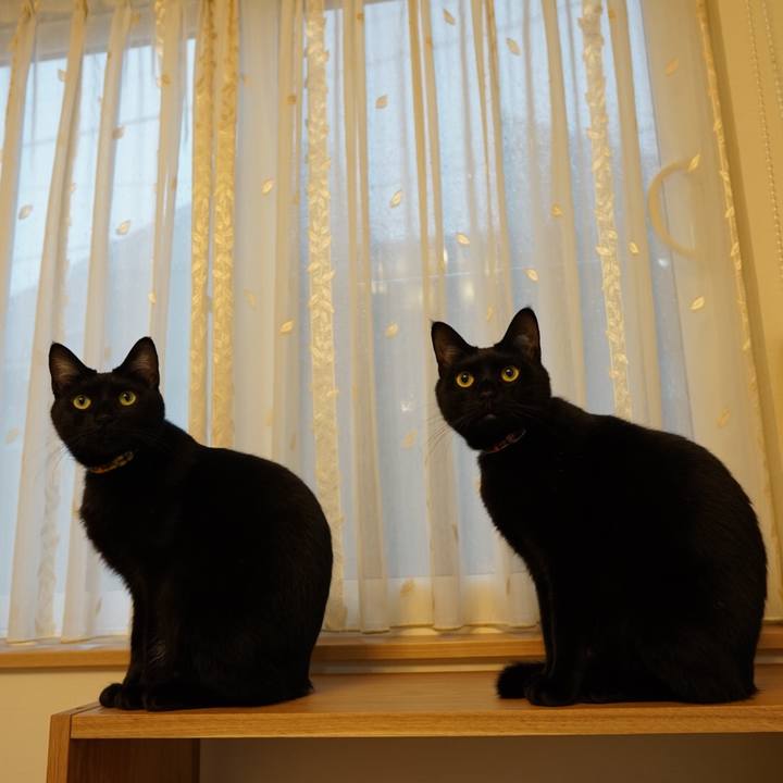 7a355bbc e6a4 4bef 8700 9d80151da325 1544053542702