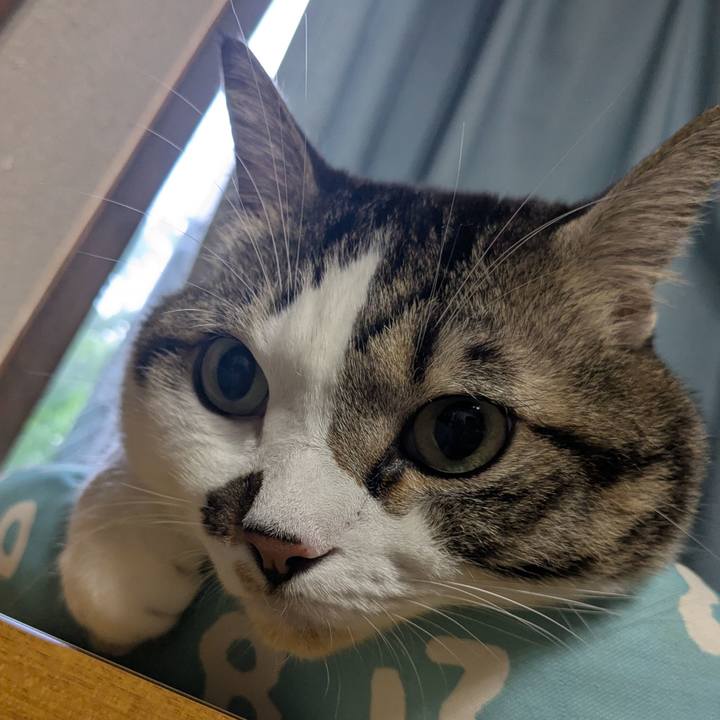 7a35b0a2 670b 4fc2 803f 0e63c24a4a5d 1759615864370