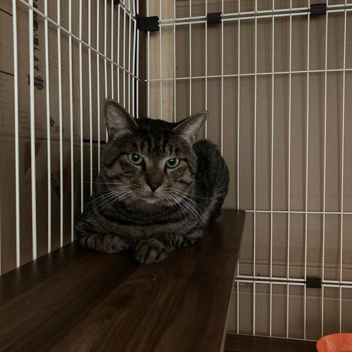 7a35e489 dd66 404c 9b57 9dd45eddbe4b 1662869352544