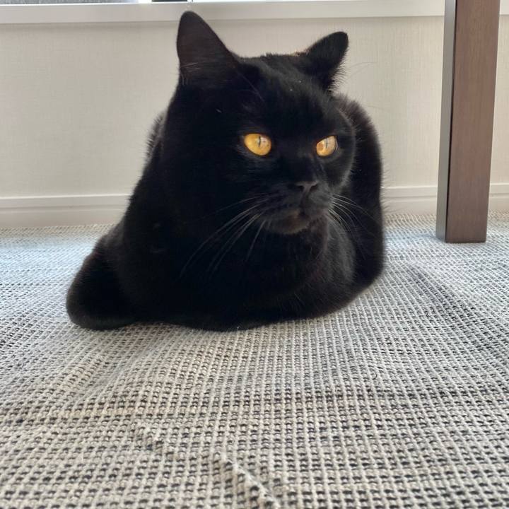 7a35e7f8 a34b 4ae3 831f e91537c70d70 1642289494419