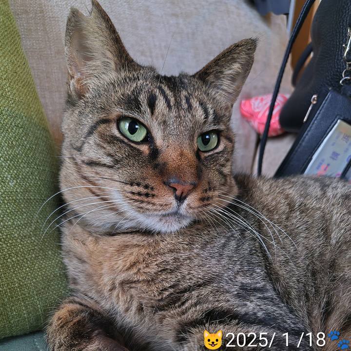 7a35edf7 0df4 4b86 85ad 24080dbec5f0 1773928651785