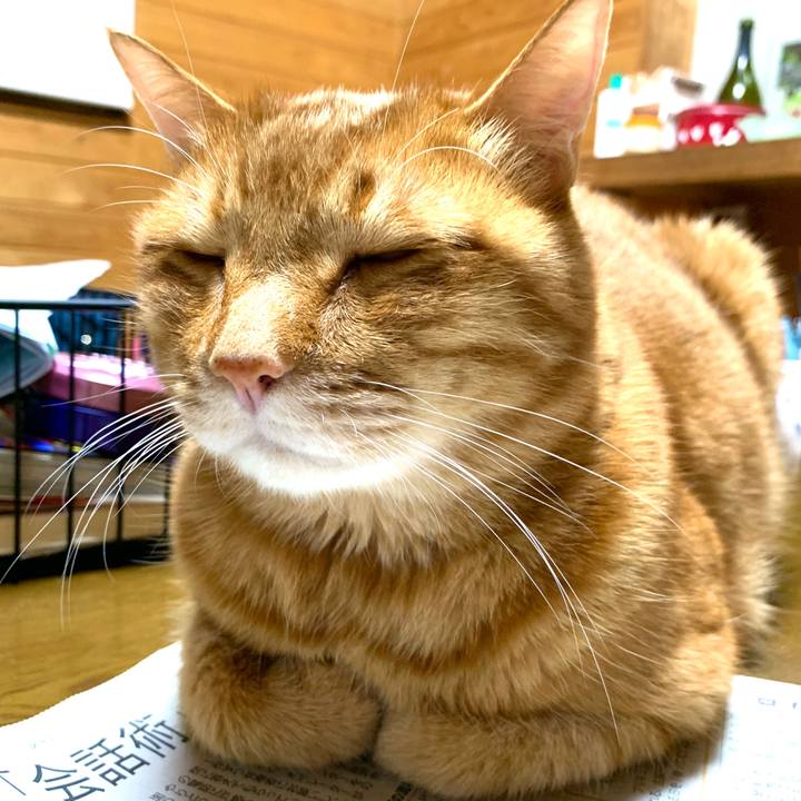 7a361972 5516 42e7 9aa3 06e7b17cab9a 1584792116366