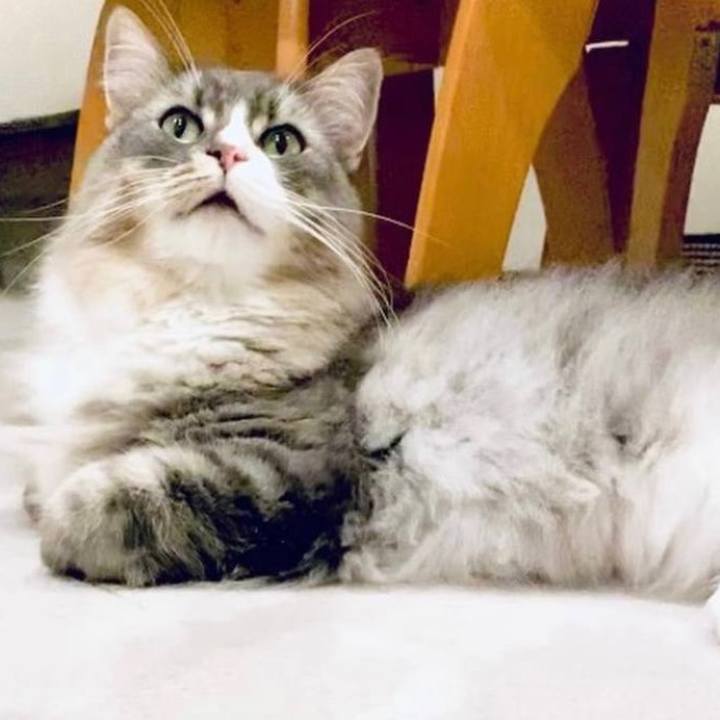 7a362d22 f362 4ca7 aa33 0e1977a1c20f 1644167199968