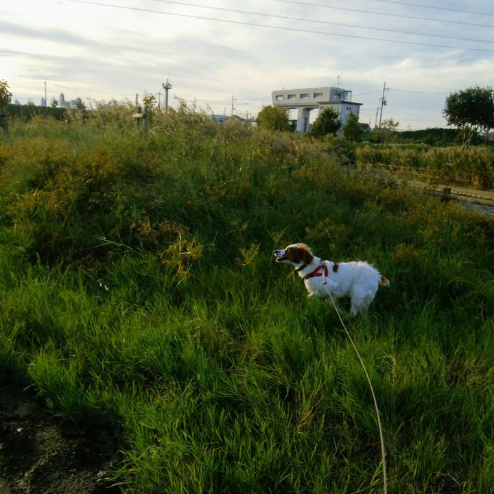 7a3644db f18f 492b a5cc d10e9a483d70 1538728620500