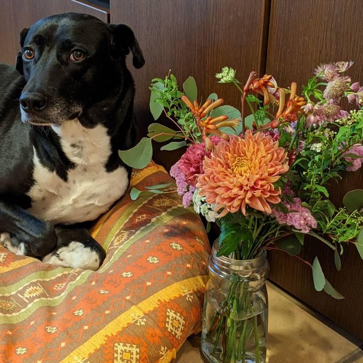 7a366707 884b 4503 850e 857c326daad8 1649934484937