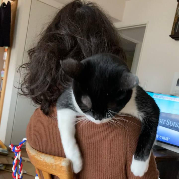 7a36b136 c3cb 4b27 b2e2 d24fa80332ae 1679469647305