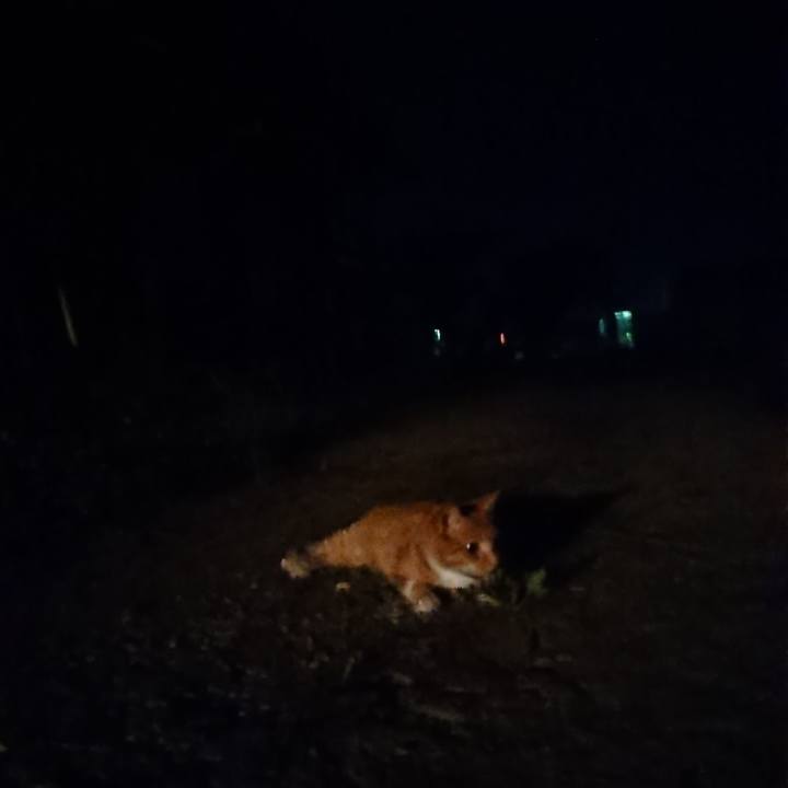 7a36bde4 a569 4b8c b5a5 58961cb48ce0 1597752367135