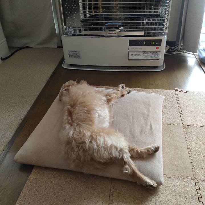 7a36d51d 6dad 4ca1 ade9 3d8e083ef453 1605050117447