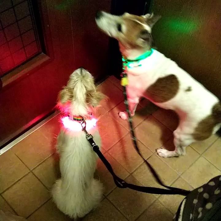 7a3722b1 217a 4a46 a2f2 5af7bab1e2b2 1535894153922