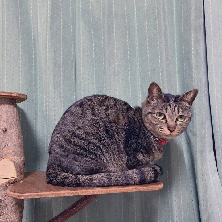 7a373b1e 50cb 4b96 88ce 7d6971603ea6 1553604890953