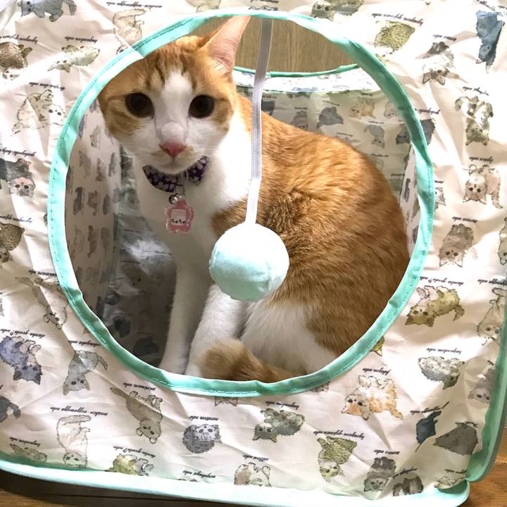 7a3777c6 5ea2 45f4 90f7 339d37bde310 1518956455514