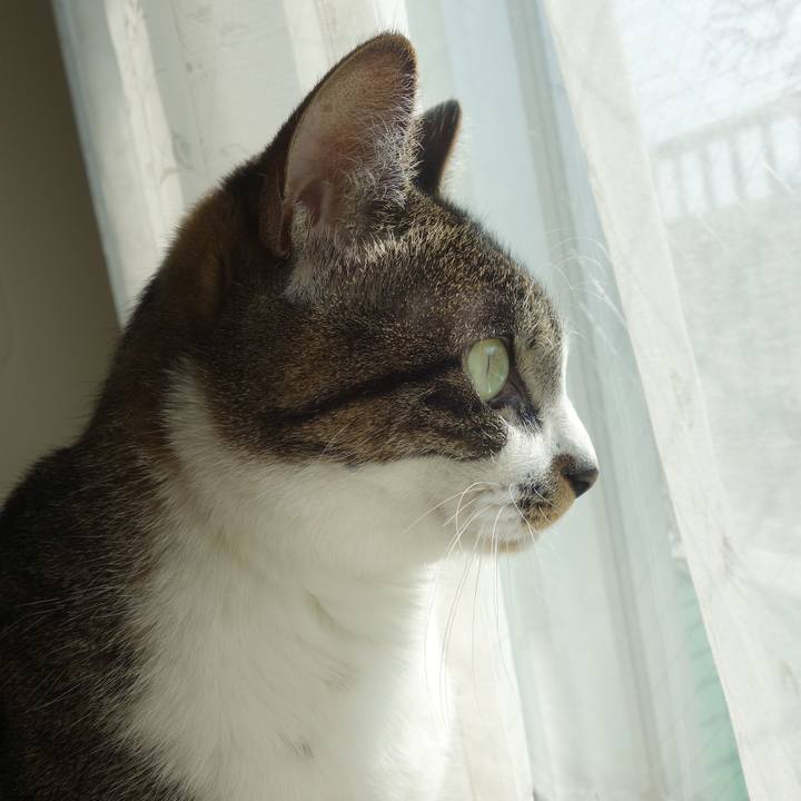 7a3777f7 3cf1 4b68 85bc 547c558e26e2 1774159636963