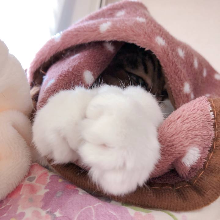 7a377a9f 8b8a 416a 84d7 5d706ede5b04 1552799313329