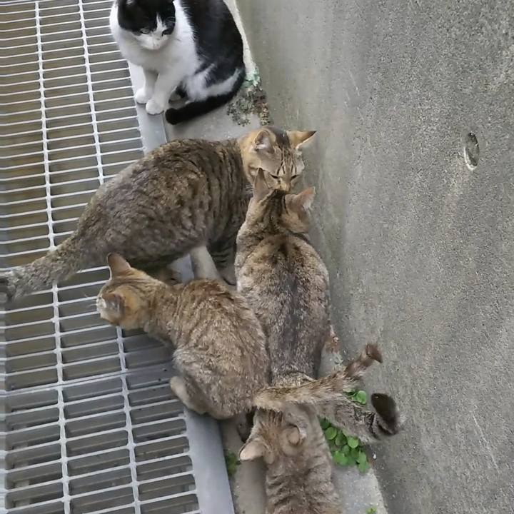 7a378270 5f6b 4080 ac38 604236be650c 1519548326962