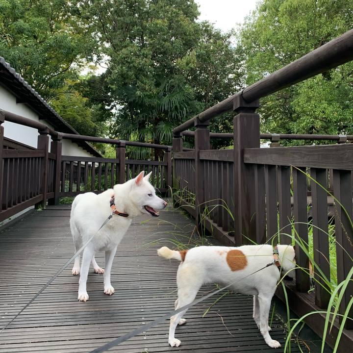 7a379136 0f9b 44ad 80d1 7c47c4260e0d 1571533033304