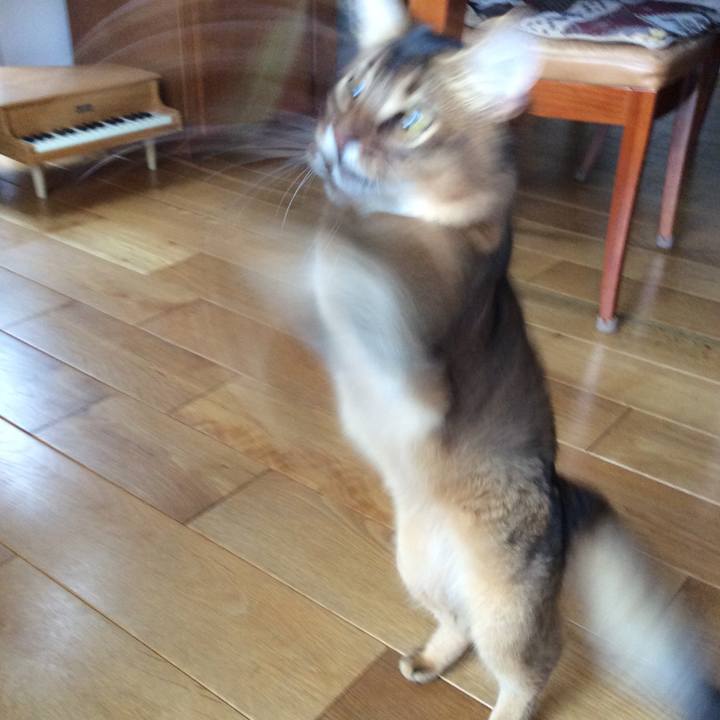 7a379cc8 3207 452f 8905 479010472431 1565044453684