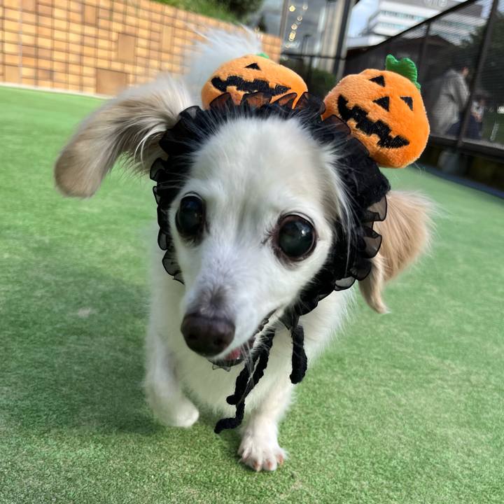 7a37f34a d439 4624 bd1c 46ceeda4ab6e 1761372967113