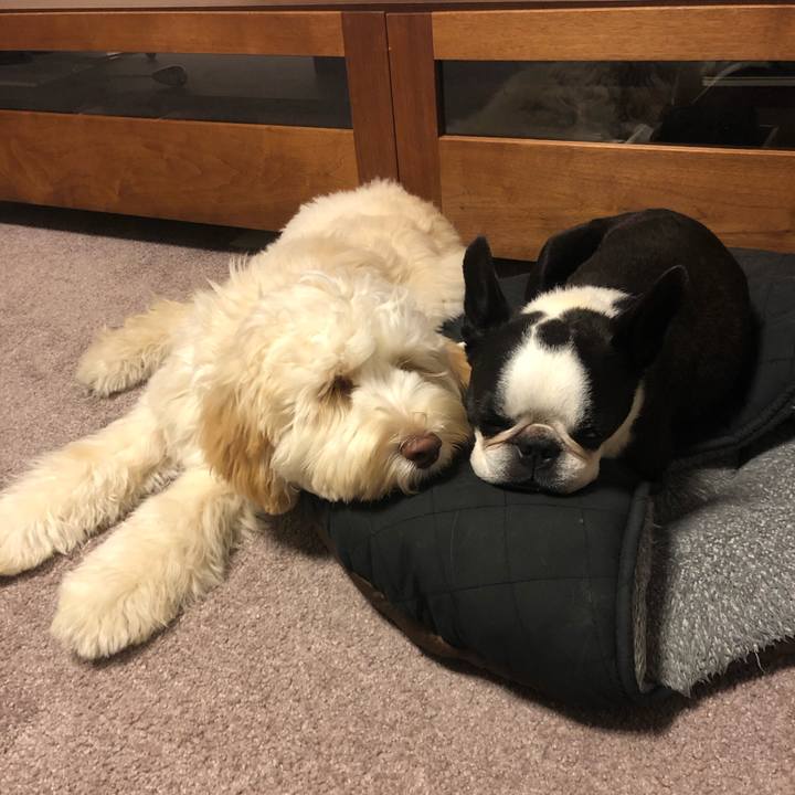 7a383964 327b 4a88 8bab 7e263b71080b 1602934572565