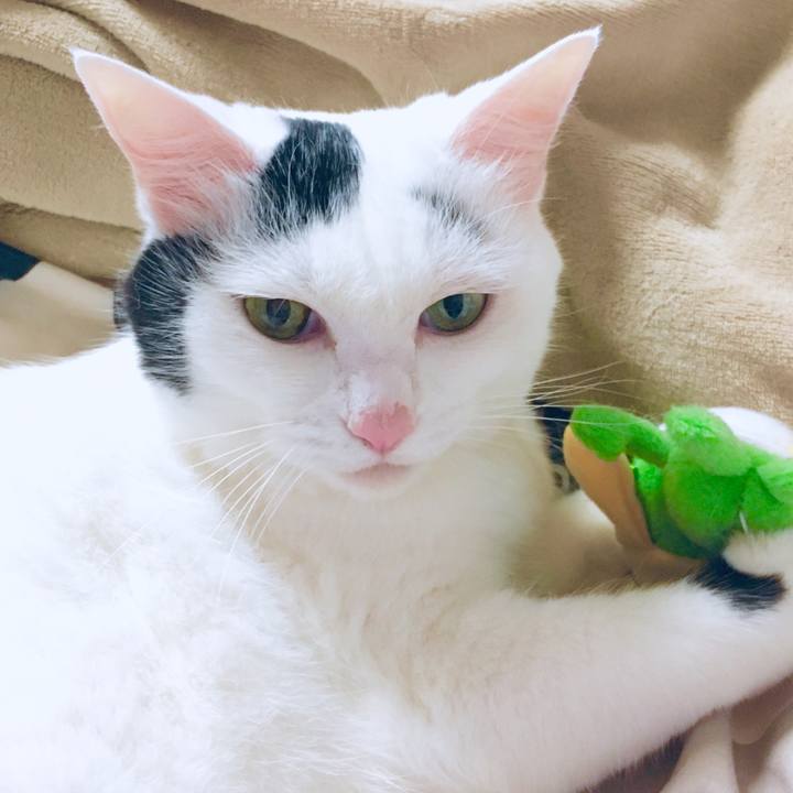 7a38428c a2d2 4e4b 9509 d3ff592e59bd 1568775358903