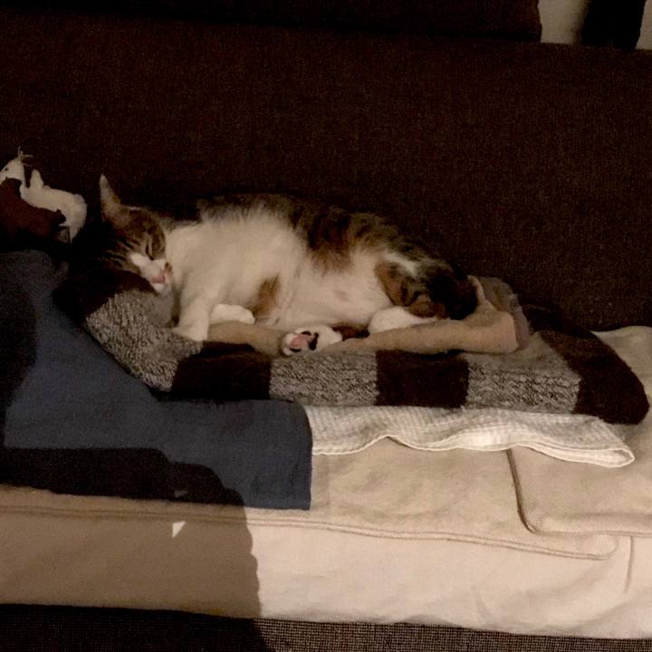 7a385082 604d 4a73 ba77 0487a843f93d 1552456603899