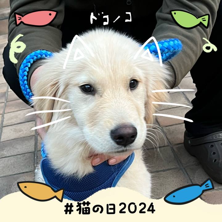 7a3856d6 35c6 401d a74e b53312a82246 1708559457296