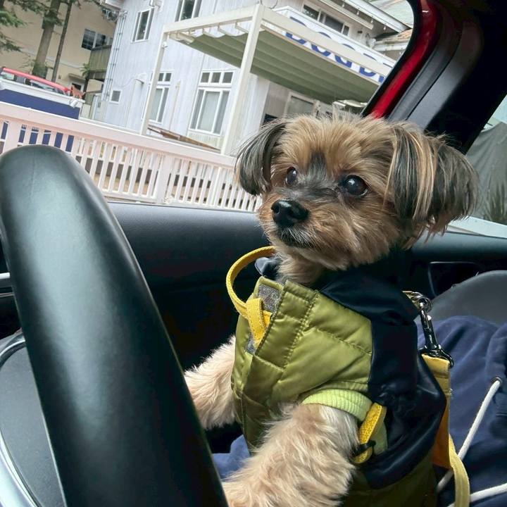 7a385e9a f0d8 4070 8577 41b985407448 1759545386730