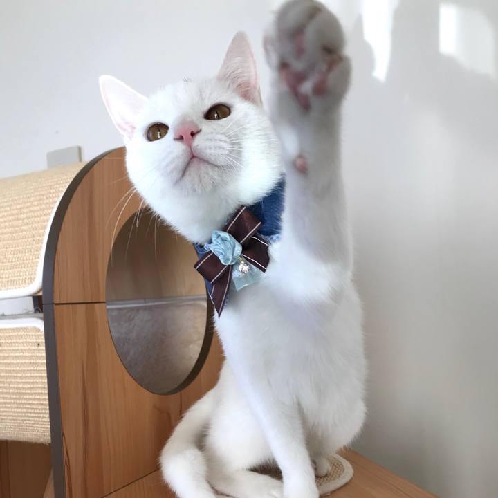 7a386406 b87f 4500 9522 a0327e789af6 1576407595613