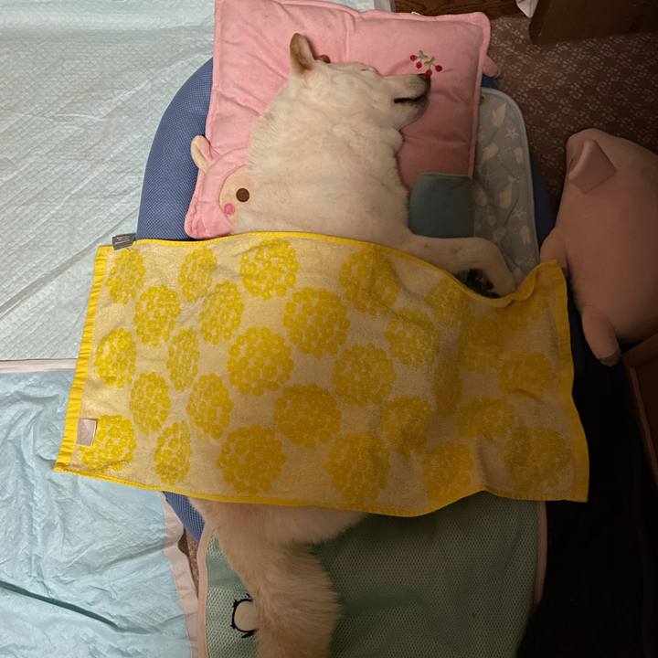 7a38c896 a34b 4700 9495 055b187791aa 1634401278961