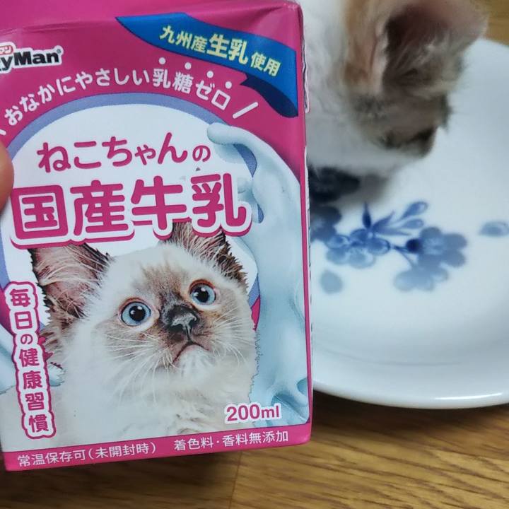 7a38cdc2 7d6d 4284 baf3 b063eb8794d3 1634109060006