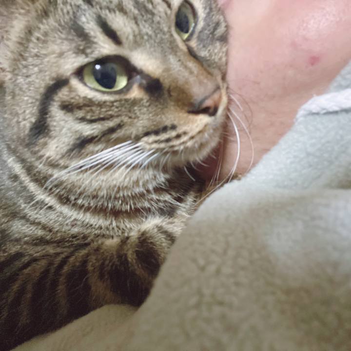 7a39286c 7a4b 4de4 ab3b 78591b6f9be9 1584198573061