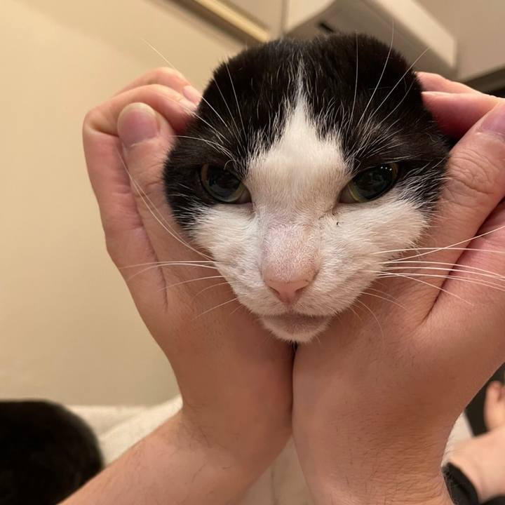 7a396590 417b 4d28 82e4 e8688d1d7b43 1652866850543