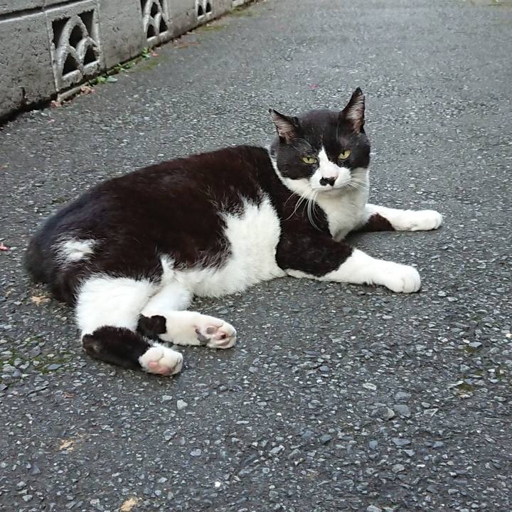 7a3982ee 6058 4a1e 9e3c 45775439dc04 1632383660681