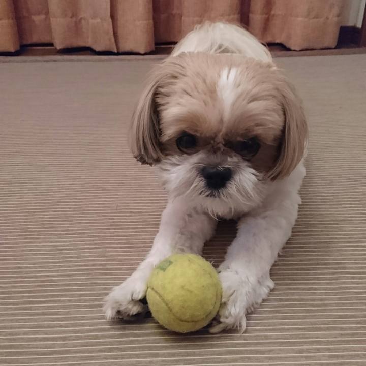 7a39d0f8 353c 448f a323 dd6158dcee4f 1562331067225