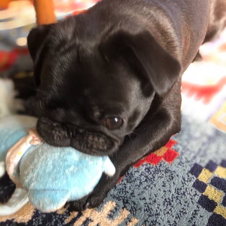 7a39e345 95aa 4bb9 be41 fffbad6ed8d8 1606215961594