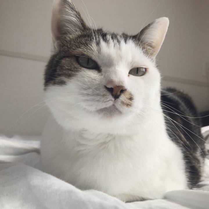 7a3a1507 cae6 4d46 91cd feb274fccce8 1556422936240