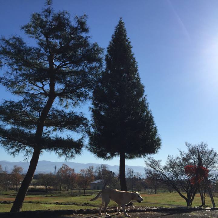 7a3a2bf0 5327 4be3 92df e3adbfd76313 1543715707038