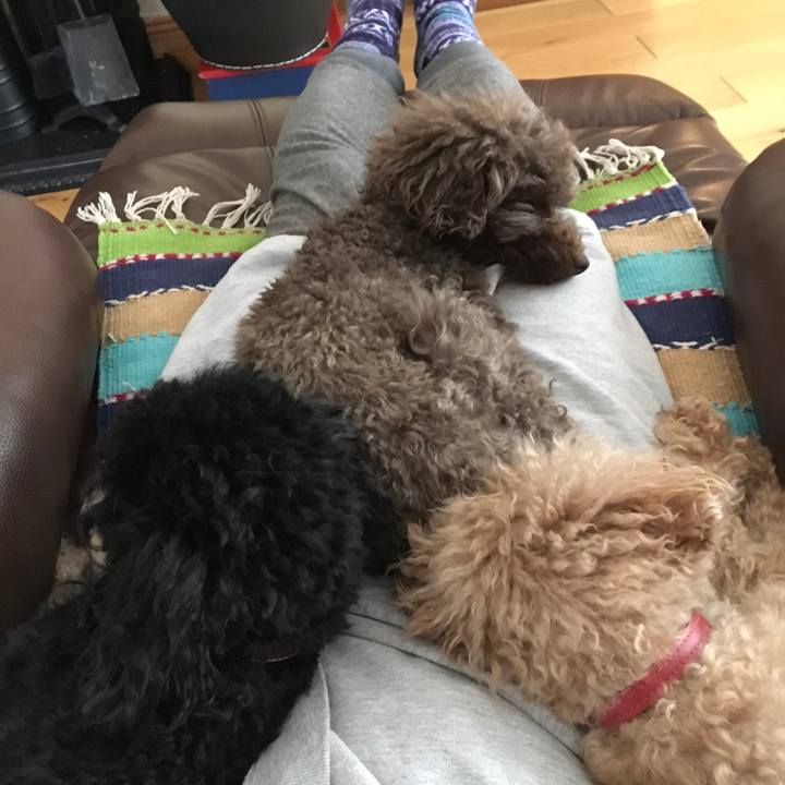 7a3a3aa2 65ef 47d6 b7e4 a5be1f6a06ec 1522654629603