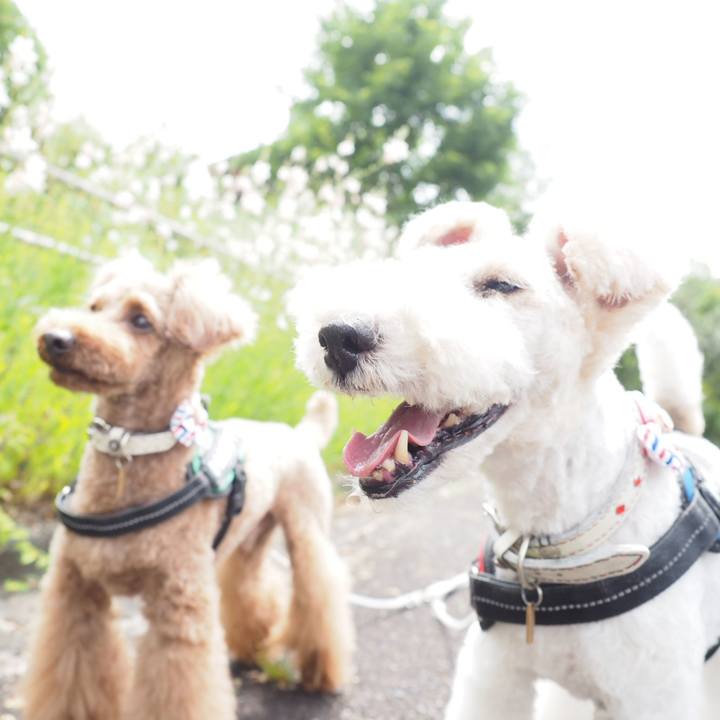 7a3a59b0 88be 4c47 b552 9dd401430253 1561587767822