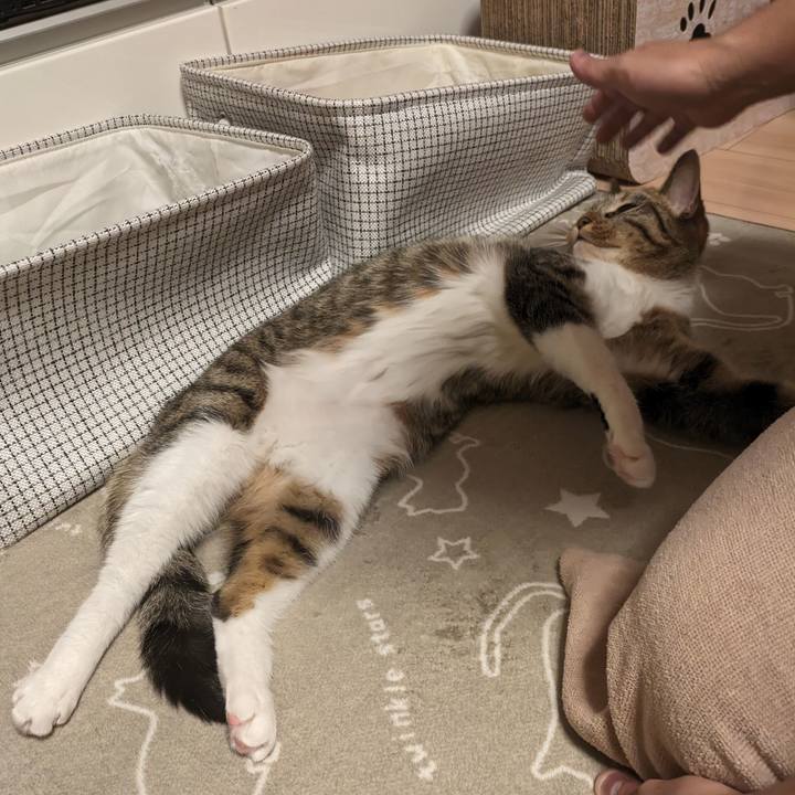 7a3a8bf2 fa79 44c1 925a 212f9fdac6ac 1701095882075