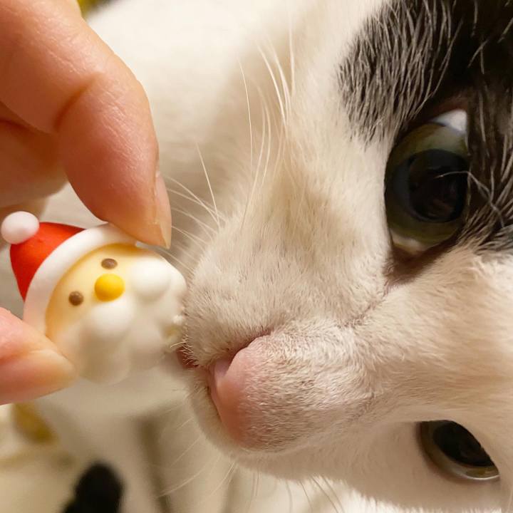 7a3aeac7 df43 4fce ada9 35461a7da2f9 1608897581221