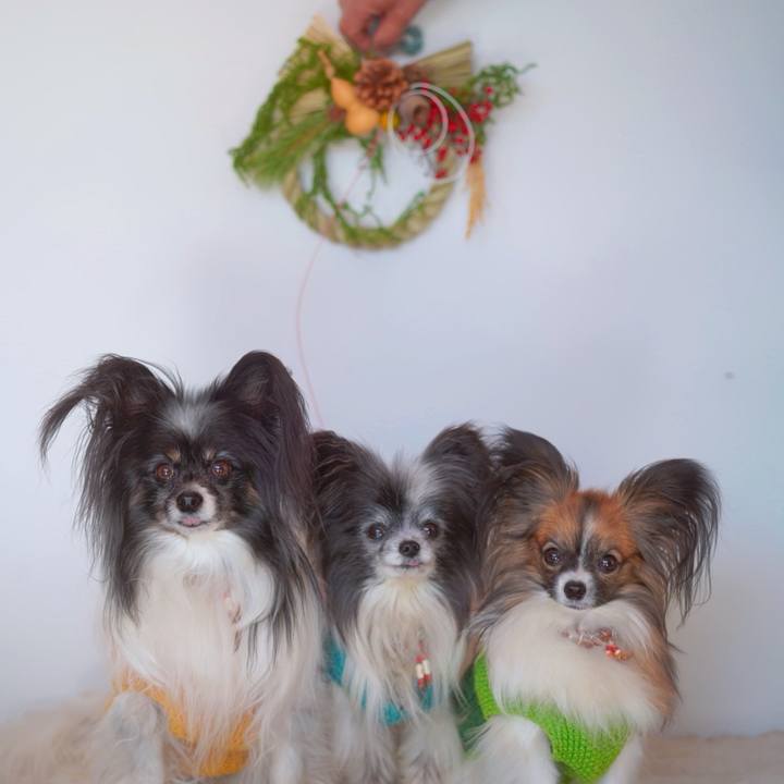 7a3af5c9 b3d0 495f 8be5 e32f0e5e37c8 1735728142423