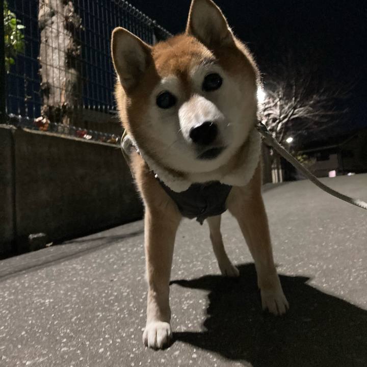 7a3afef1 faee 4946 850a 83197083d164 1734859571192