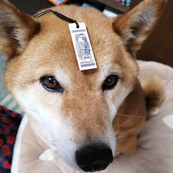 7a3b1d4a 1cec 4b90 884a 2cf07cd6f3f0 1586337228232