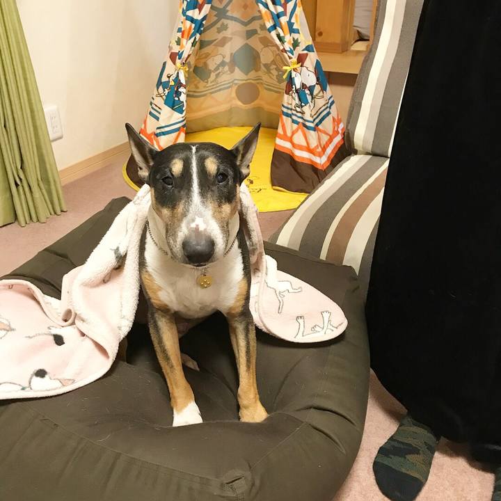 7a3b3208 5d97 424a 905e 3146091dafff 1516785254708