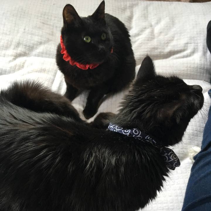 7a3b47ba 945f 4cce 8270 01f44bd57a10 1550985185277