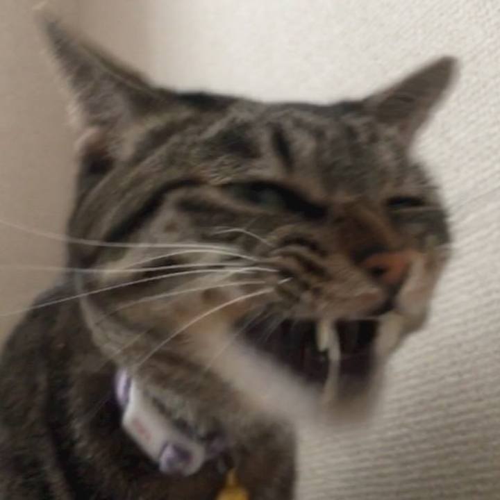 7a3b63fc 0a86 443b 801e 5f7d08ae680e 1571732519165