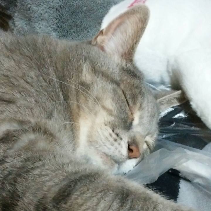 7a3b677d ecd5 4ce4 99fd 576b7c8e4d83 1561892378689