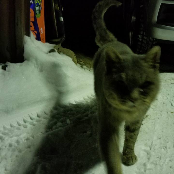 7a3bbc0d 1793 48a6 9d7e 1cd0c7da38ef 1546849523373